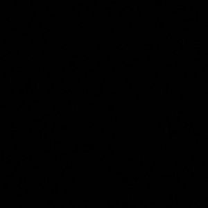 Meet your Posher, Miranda